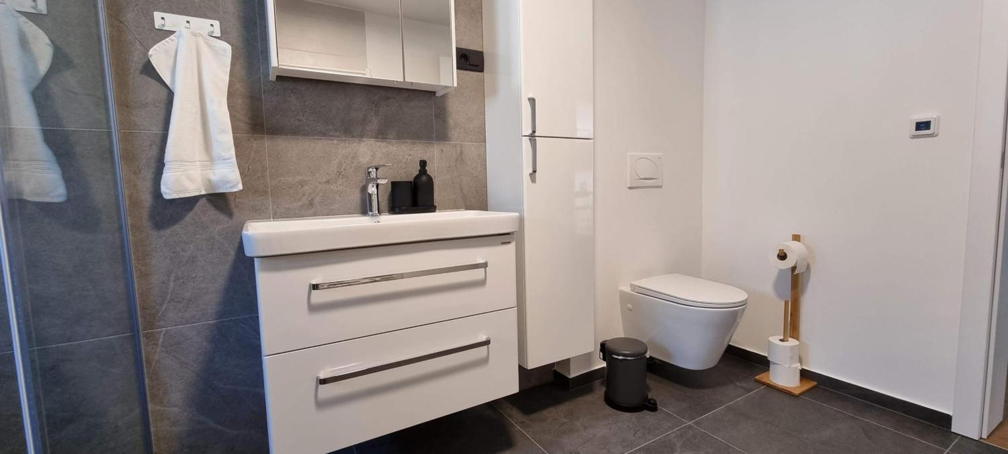 Naia Apartments Novo Mesto Bagian luar foto