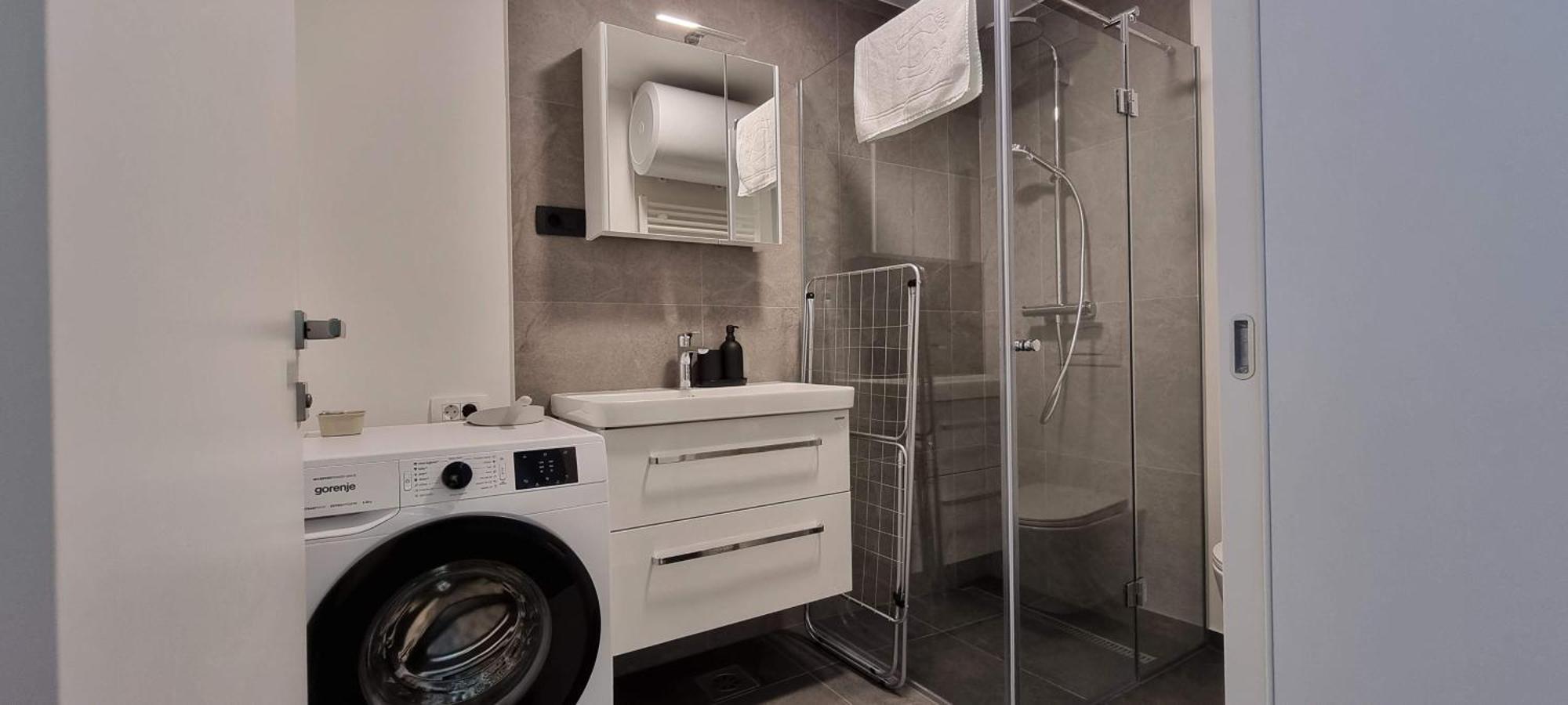 Naia Apartments Novo Mesto Bagian luar foto