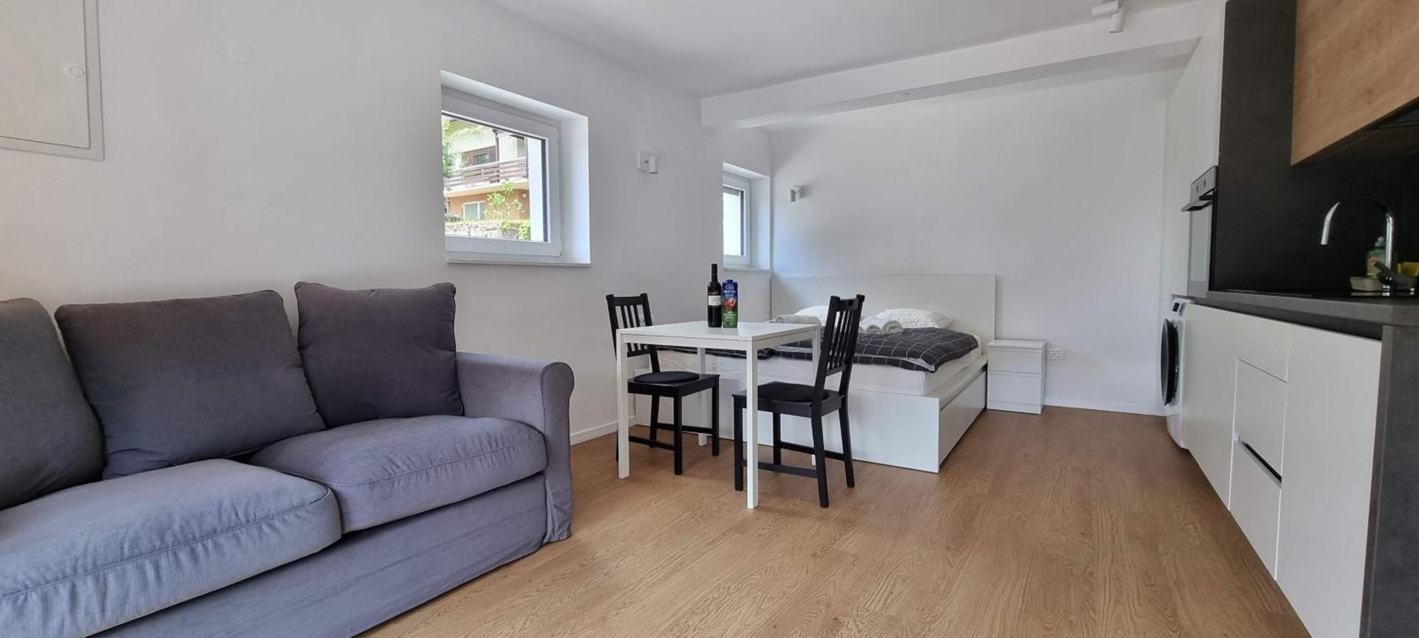 Naia Apartments Novo Mesto Bagian luar foto