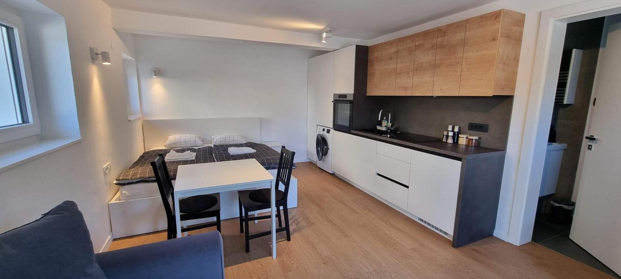 Naia Apartments Novo Mesto Bagian luar foto